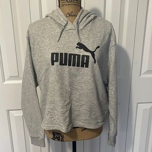 Puma Gray Hoodie